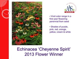 • Vivid color range in a 
first year flowering 
perennial from seed 
• Shades of purple, 
pink, red, orange, 
yellow, cream & white 
Echinacea ‘Cheyenne Spirit’ 
2013 Flower Winner 
 