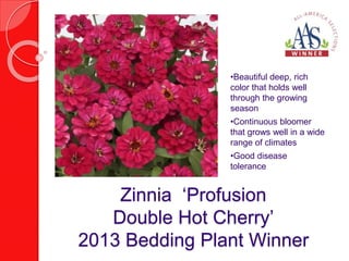 •Beautiful deep, rich 
color that holds well 
through the growing 
season 
•Continuous bloomer 
that grows well in a wide 
range of climates 
•Good disease 
tolerance 
Zinnia ‘Profusion 
Double Hot Cherry’ 
2013 Bedding Plant Winner 
 