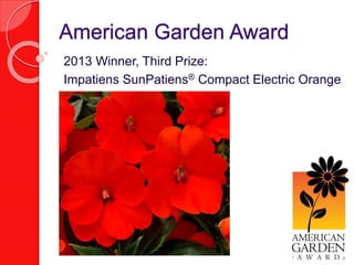 American Garden Award 
2013 Winner, Third Prize: 
Impatiens SunPatiens® Compact Electric Orange 
 