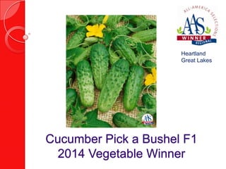Heartland
Great Lakes

Cucumber Pick a Bushel F1
2014 Vegetable Winner

 