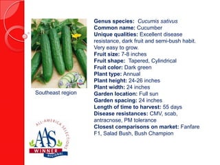 Southeast region

Genus species: Cucumis sativus
Common name: Cucumber
Unique qualities: Excellent disease
resistance, dark fruit and semi-bush habit.
Very easy to grow.
Fruit size: 7-8 inches
Fruit shape: Tapered, Cylindrical
Fruit color: Dark green
Plant type: Annual
Plant height: 24-26 inches
Plant width: 24 inches
Garden location: Full sun
Garden spacing: 24 inches
Length of time to harvest: 55 days
Disease resistances: CMV, scab,
antracnose, PM tolerance
Closest comparisons on market: Fanfare
F1, Salad Bush, Bush Champion

 