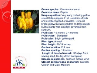 Genus species: Capsicum annuum
Common name: Pepper
Unique qualities: Very early maturing yellow
sweet Italian pepper. Fruit is delicious fresh
and excellent grilled or roasted. Up to 30
bright yellow fruit are pendant on large sturdy
bushy plants with excellent coverage from
sunburn.
Fruit size: 7-9 inches, 2-4 ounces
Fruit shape: Elongated
Fruit color: Bright yellow/gold
Plant type: Annual
Plant height: 20-24 inches
Garden location: Full sun
Garden spacing: 15 inches
Length of time to harvest: 125 days from
sowing seed, 85 days from transplant
Disease resistances: Tobacco mosaic virus
Closest comparisons on market: Marconi
Golden and Giant Marconi

 
