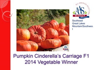 Southeast
Great Lakes
Mountain/Southwes
t

Pumpkin Cinderella’s Carriage F1
2014 Vegetable Winner

 