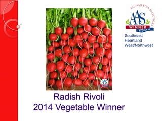 Southeast
Heartland
West/Northwest

Radish Rivoli
2014 Vegetable Winner

 