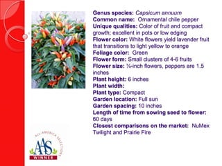 Genus species: Capsicum annuum
Common name: Ornamental chile pepper
Unique qualities: Color of fruit and compact
growth; excellent in pots or low edging
Flower color: White flowers yield lavender fruit
that transitions to light yellow to orange
Foliage color: Green
Flower form: Small clusters of 4-6 fruits
Flower size: ¼-inch flowers, peppers are 1.5
inches
Plant height: 6 inches
Plant width:
Plant type: Compact
Garden location: Full sun
Garden spacing: 10 inches
Length of time from sowing seed to flower:
60 days
Closest comparisons on the market: NuMex
Twilight and Prairie Fire

 