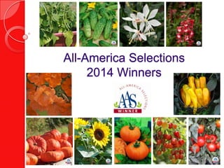 All-America Selections
2014 Winners

 