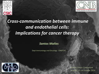 Cross-communication between immune 
and endothelial cells: 
Implications for cancer therapy 
Santos Mañes 
Dept Immunology and Oncology CNB/CSIC 
Ramón Areces Symposium 
Madrid, 15-16 October 2014 
 