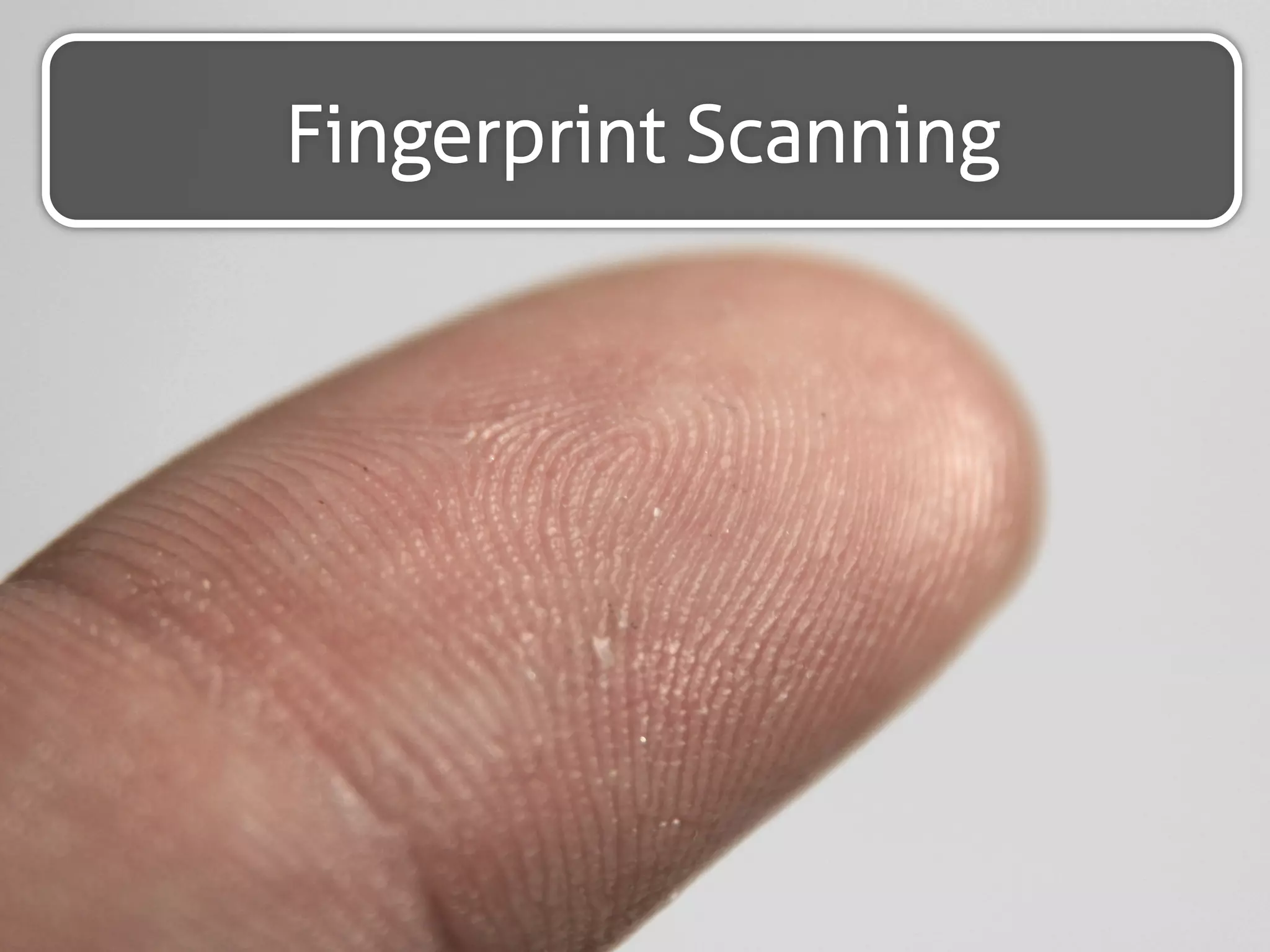 Vein 
recognition 
biometrics 
 