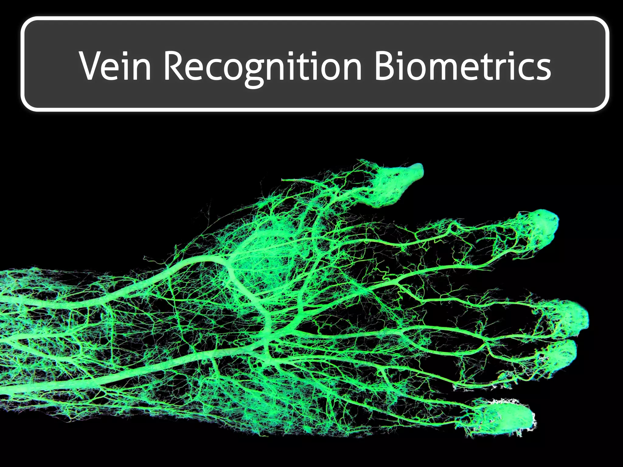 Vein Scanning Payments 
 