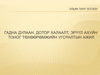 “АЛЬФА ТАУН” ХОТХОН
ГАДНА ДУЛААН, ДОТОР ХАЛААЛТ, ЭРҮҮЛ АХУЙН
ТОНОГ ТӨХӨӨРӨМЖИЙН УГСРАЛТЫН АЖИЛ
 