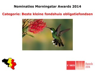 Nominaties Morningstar Awards 2014

Categorie: Beste kleine fondshuis obligatiefondsen

 