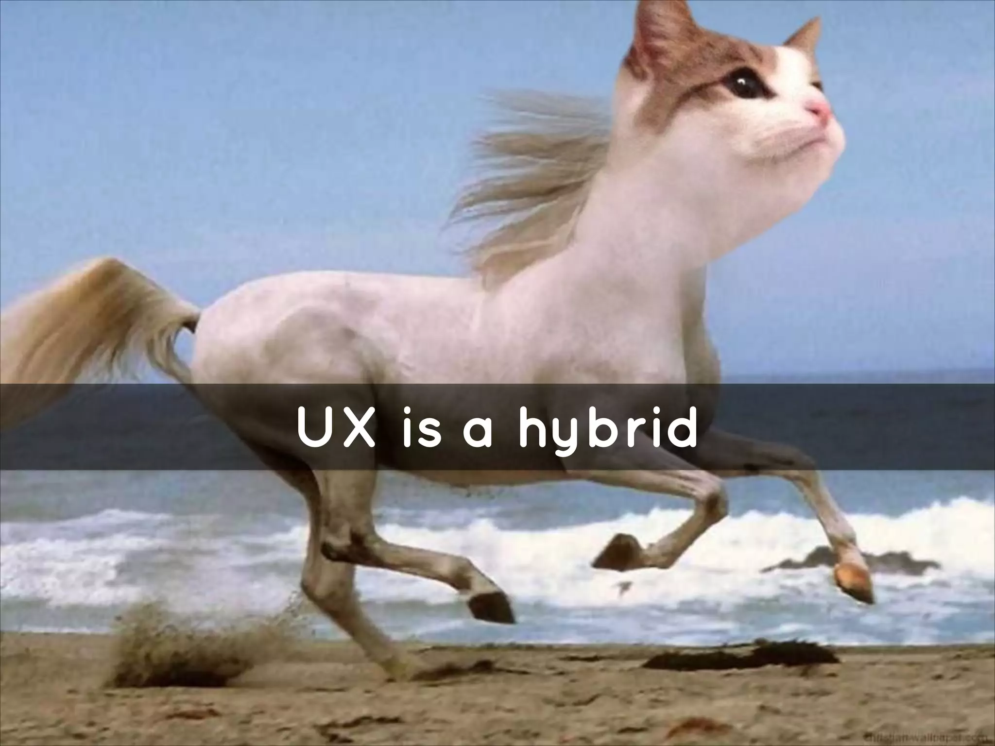 UX is a hybrid

 