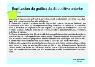 Explicación da gráfica da diapositiva anterior

I.E.S. Otero Pedrayo.
Ourense

 
