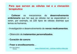 Para que serven as células nai e a clonación
terapéutica
Coñecer os mecanismos do desenvolvemento
embrionario que fan que as células nai se especialicen e
xeren, por exemplo, os 220 tipos de células distintas que
temos os humanos.
-

- Investigación e desenvolvemento de novos medicamentos.
- Obtención de tratamentos personalizados.
- Curación do cancro.
- Frear o envellecemento…
I.E.S. Otero Pedrayo.
Ourense

www.intramed.net/.../celulas.madre.video.jpg

 