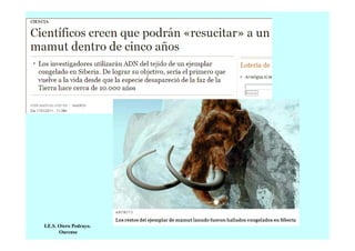 I.E.S. Otero Pedrayo.
Ourense

 