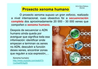 Proxecto xenoma humano

I.E.S. Otero Pedrayo.
Ourense

O proxecto xenoma supuxo un gran esforzo, realizado
a nivel internacional, cuxo obxectivo foi a secuenciación
completa dos aproximadamente 20 000 - 30 000 xenes que
compoñen o xenoma humano.
Despois de secuenciar o ADN
humano aínda queda por
averiguar que significa toda esa
información: identificar onde
empezan e terminan os xenes
no ADN, descubrir a función
deses xenes, encontrar zonas
que regulen a súa expresión,…
Xenoma humano
http://www.youtube.com/watch?v
=czXseKE4gZA

 