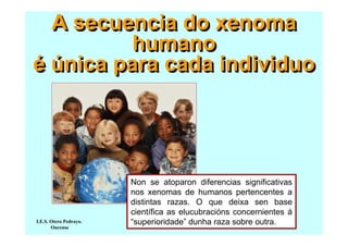 A secuencia do xenoma
humano
é única para cada individuo

I.E.S. Otero Pedrayo.
Ourense

Non se atoparon diferencias significativas
nos xenomas de humanos pertencentes a
distintas razas. O que deixa sen base
científica as elucubracións concernientes á
“superioridade” dunha raza sobre outra.

 