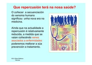 Que repercusión terá na nosa saúde?
O coñecer a secuenciación
do xenoma humano
significou unha nova era na
medicina.
Aínda que na actualidade a
repercusión é relativamente
reducida, a medida que se
vaian coñecéndo xenes
asociados a enfermidades
poderemos mellorar a súa
prevención e tratamento.

I.E.S. Otero Pedrayo.
Ourense

 
