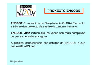 PROXECTO ENCODE

ENCODE é o acrónimo de ENcyclopedia Of DNA Elements,
e trátase dun proxecto de análise do xenoma humano.
ENCODE 2012 indican que os xenes son máis complexos
do que se pensaba ata agora.
A principal consecuencia dos estudos de ENCODE é que
non existe ADN lixo.

I.E.S. Otero Pedrayo.
Ourense

 