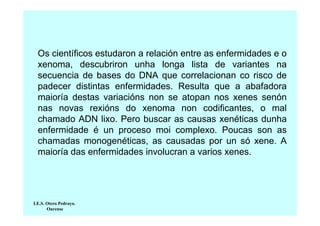 Os científicos estudaron a relación entre as enfermidades e o
xenoma, descubriron unha longa lista de variantes na
secuencia de bases do DNA que correlacionan co risco de
padecer distintas enfermidades. Resulta que a abafadora
maioría destas variacións non se atopan nos xenes senón
nas novas rexións do xenoma non codificantes, o mal
chamado ADN lixo. Pero buscar as causas xenéticas dunha
enfermidade é un proceso moi complexo. Poucas son as
chamadas monogenéticas, as causadas por un só xene. A
maioría das enfermidades involucran a varios xenes.

I.E.S. Otero Pedrayo.
Ourense

 