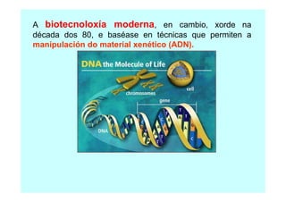 A biotecnoloxía moderna, en cambio, xorde na
década dos 80, e baséase en técnicas que permiten a
manipulación do material xenético (ADN).

 