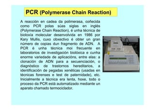 PCR (Polymerase Chain Reaction)
A reacción en cadea da polimerasa, coñecida
como PCR polas súas siglas en inglés
(Polymerase Chain Reaction), é unha técnica de
bioloxía molecular desenvolvida en 1986 por
Kary Mullis, cuxo obxectivo é obter un gran
número de copias dun fragmento de ADN. A
PCR é unha técnica moi frecuente en
laboratorios de investigación biolóxica e cunha
enorme variedade de aplicacións, entre elas: a
clonación de ADN para a secuenciación, o
diagnóstico de trastornos hereditarios, a
identificación de pegadas xenéticas (usadas en
técnicas forenses e test de paternidade), etc.
Inicialmente a técnica era lenta, hoxe, todo o
proceso da PCR está automatizado mediante un
aparato chamado termociclador.

 