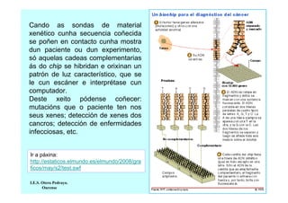 Cando as sondas de material
xenético cunha secuencia coñecida
se poñen en contacto cunha mostra
dun paciente ou dun experimento,
só aquelas cadeas complementarias
ás do chip se hibridan e orixinan un
patrón de luz característico, que se
le cun escáner e interprétase cun
computador.
Deste xeito pódense coñecer:
mutacións que o paciente ten nos
seus xenes; detección de xenes dos
cancros; detección de enfermidades
infecciosas, etc.

Ir a páxina:
http://estaticos.elmundo.es/elmundo/2008/gra
ficos/may/s2/test.swf
I.E.S. Otero Pedrayo.
Ourense

 