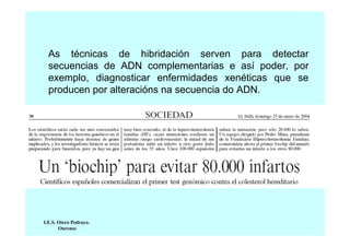 As técnicas de hibridación serven para detectar
secuencias de ADN complementarias e así poder, por
exemplo, diagnosticar enfermidades xenéticas que se
producen por alteracións na secuencia do ADN.

I.E.S. Otero Pedrayo.
Ourense

 