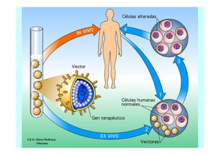 I.E.S. Otero Pedrayo.
Ourense

 