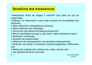 Beneficios dos transxénicos
Resistencia fronte ás pragas e redución polo tanto do uso de
praguicidas.
Retraso na maduración e polo tanto aumento da durabilidade dos
alimentos.
Maior tolerancia a temperaturas extremas.
Maior tolerancia aos herbicidas.
Diminución dos labores de labranza tradicional.
Menor necesidade de auga e, polo tanto, maior resistencia á seca.
Beneficios nutricionais.
Aumento da produtividade.
Obtención de medicamentos e de alimentos-medicamentos
Redución de custos na produción (menos praguicidas, fertilizantes,
etc).
Mellora da calidade dos vexetais (cor, sabor, textura, etc).
Uso agrícola de terras marxinais.
I.E.S. Otero Pedrayo.
…
Ourense

 