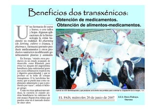 Beneficios dos transxénicos:
nicos

Obtención de medicamentos.
Obtención de alimentos-medicamentos.

I.E.S. Otero Pedrayo.
Ourense

 
