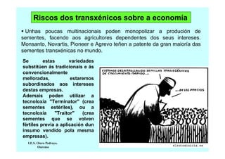 Riscos dos transxénicos sobre a economía
Unhas poucas multinacionais poden monopolizar a produción de
sementes, facendo aos agricultores dependentes dos seus intereses.
Monsanto, Novartis, Pioneer e Agrevo teñen a patente da gran maioría das
sementes transxénicas no mundo.
Se
estas
variedades
substitúen ás tradicionais e ás
convencionalmente
melloradas,
estaremos
subordinados aos intereses
destas empresas.
Ademais poden utilizar a
tecnoloxía "Terminator" (crea
sementes estériles), ou a
tecnoloxía
"Traitor"
(crea
sementes que se volven
fértiles previa a aplicación dun
insumo vendido pola mesma
empresas).
I.E.S. Otero Pedrayo.
Ourense

 