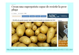 http://www.abc.es/ciencia/20140217/abci-crean-super-patata-capaz-201402171231.html

 