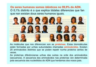 Os seres humanos somos idénticos no 99,9% do ADN.
O 0,1% distinto é o que explica tódalas diferencias que fan
que non existan dous seres humanos iguais.

As moléculas que nos diferencian son as proteínas. Estas biomoléculas
están formadas por unhas subunidades chamadas aminoácidos. Existen
20 aminoácidos distintos que se poden repetir nunha proteína centos de
veces.
As proteínas diferéncianse unhas das outras na orde dos aminoácidos
(secuencia). A secuencia dos aminoácidos nas proteínas ven determinada
pola secuencia dos nucleótidos do ADN que herdamos dos nosos pais.

 