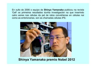 En xullo de 2006 o equipo de Shinya Yamanaka publicou na revista
'Cell' os primeiros resultados dunha investigación na que inserindo
catro xenes nas células da pel de ratos convértense en células nai
como as embrionarias, son as chamadas células iPS.

Shinya Yamanaka premio Nobel 2012

 