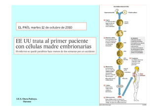 I.E.S. Otero Pedrayo.
Ourense

 