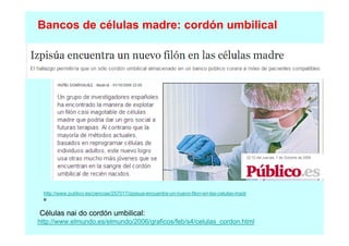 Bancos de células madre: cordón umbilical

http://www.publico.es/ciencias/257017/izpisua-encuentra-un-nuevo-filon-en-las-celulas-madr
e

Células nai do cordón umbilical:
http://www.elmundo.es/elmundo/2006/graficos/feb/s4/celulas_cordon.html

 