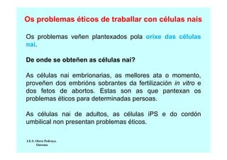 Os problemas éticos de traballar con células nais
Os problemas veñen plantexados pola orixe das células
nai.
De onde se obteñen as células nai?
As células nai embrionarias, as mellores ata o momento,
proveñen dos embrións sobrantes da fertilización in vitro e
dos fetos de abortos. Estas son as que pantexan os
problemas éticos para determinadas persoas.
As células nai de adultos, as células iPS e do cordón
umbilical non presentan problemas éticos.
I.E.S. Otero Pedrayo.
Ourense

 