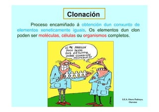 Clonación
Proceso encamiñado á obtención dun conxunto de
elementos xeneticamente iguais. Os elementos dun clon
poden ser moléculas, células ou organismos completos.

I.E.S. Otero Pedrayo.
Ourense

 