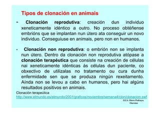 Tipos de clonación en animais

-

Clonación reprodutiva: creación dun individuo
xeneticamente idéntico a outro. No proceso obtéñense
embrións que se implantan nun útero ata conseguir un novo
individuo. Conseguiuse en animais, pero non en humanos.

-

Clonación non reprodutiva: o embrión non se implanta
nun útero. Dentro da clonación non reprodutiva atópase a
clonación terapéutica que consiste na creación de células
nai xeneticamente idénticas ás células dun paciente, co
obxectivo de utilizalas no tratamento ou cura dunha
enfermidade sen que se produza ningún rexeitamento.
Aínda non se levou a cabo en humanos, pero hai algúns
resultados positivos en animais.

Clonación terapeútica
http://www.elmundo.es/elmundo/2001/graficos/noviembre/semana4/clon/clonacion.swf
I.E.S. Otero Pedrayo.
Ourense

 