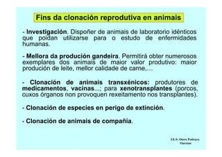 Fins da clonación reprodutiva en animais
- Investigación. Dispoñer de animais de laboratorio idénticos
que poidan utilizarse para o estudo de enfermidades
humanas.
- Mellora da produción gandeira. Permitirá obter numerosos
exemplares dos animais de maior valor produtivo: maior
produción de leite, mellor calidade de carne,…
- Clonación de animais transxénicos: produtores de
medicamentos, vacinas...; para xenotransplantes (porcos,
cuxos órganos non provoquen rexeitamento nos transplantes).
- Clonación de especies en perigo de extinción.
- Clonación de animais de compañía.
I.E.S. Otero Pedrayo.
Ourense

 