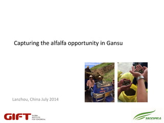 Capturing the alfalfa opportunity in Gansu
Lanzhou, China July 2014
 