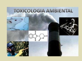 TOXICOLOGIA AMBIENTAL 
 