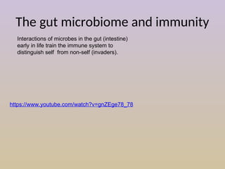 The Human Gut Microbiome and Its Role in Immunity 2014_Cobb_Teaching ...