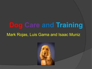 Dog Care and Training
Mark Rojas, Luis Gama and Isaac Muniz
 