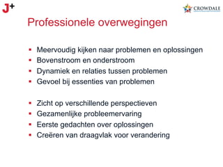 Professionele overwegingen
§ 
§ 
§ 
§ 

Meervoudig kijken naar problemen en oplossingen
Bovenstroom en onderstroom
Dynamiek en relaties tussen problemen
Gevoel bij essenties van problemen

§ 
§ 
§ 
§ 

Zicht op verschillende perspectieven
Gezamenlijke probleemervaring
Eerste gedachten over oplossingen
Creëren van draagvlak voor verandering

 
