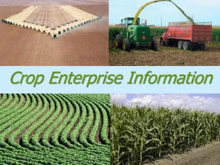 Crop Enterprise Information
 