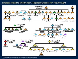 Source: http://www.anth.ucsb.edu/projects/axfight/complin.html
Lineages related to Timothy Asch / Napoleon Chagnon film The Axe Fight
 