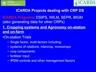 ICARDA Projects dealing with CRP DS 
ICARDA Programs: DSIPS, IWLM, SEPR, BIGM 
(also generating data for other CRPs) 
1. Cropping systems and Agronomy on-station 
and on-farm 
•On-station Trials 
– Single factor, multi-factors including: 
– systems of rotations, intercrop, monocrops 
– crop components 
– fertilizer input 
– IPDM controls and other management factors 
 