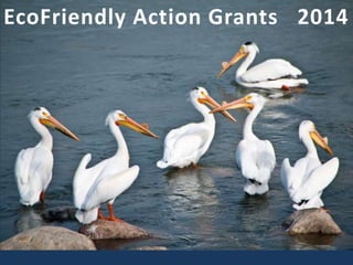 EcoFriendly Action Grants 2014
 